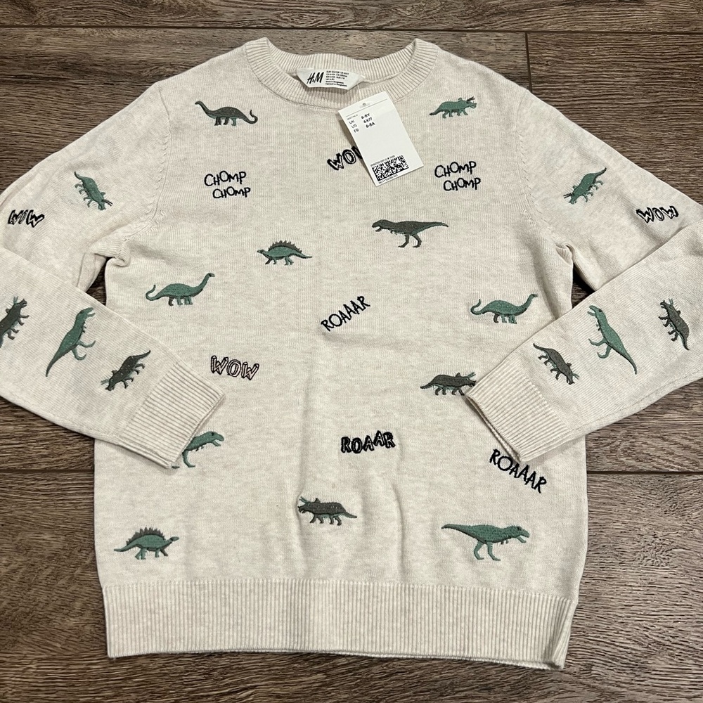 H&M boys dinosaur sweater